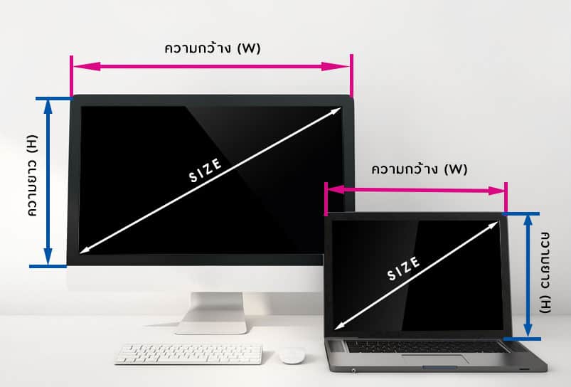 คำนวนราคา ตามขนาดหน้าจอ 2 Screen Size for film screen protector