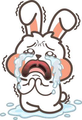 คำถามที่พบบ่อย 2 maximum 404 rabbit